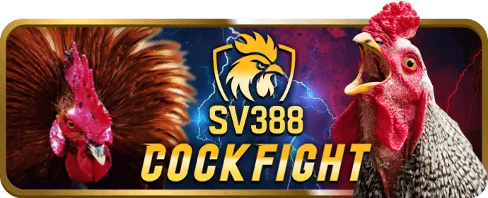 Trò chơi sòng bạc ball88